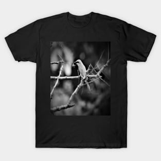 Cannot beat the beauty of nature T-Shirt